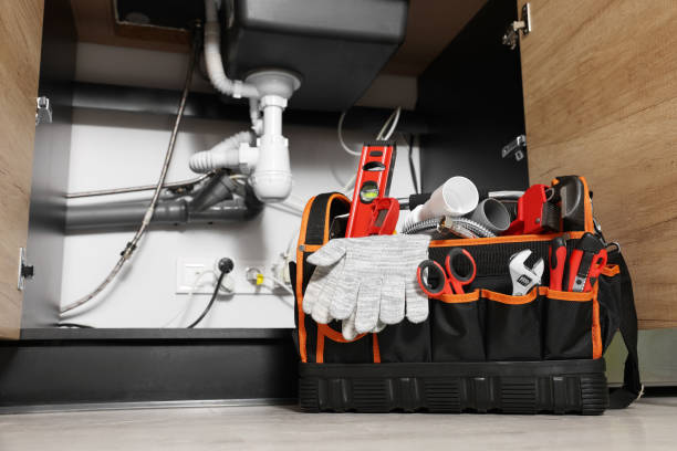 Best Emergency Plumber  in Williston, SC